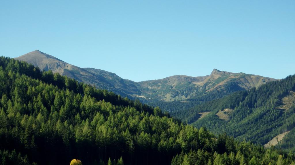 Chalet Hamito Hohentauern Rum bild